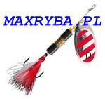 BŁYSTKA OBROTAWA DRAGON CM-CLASSIC de Luxe 37-24